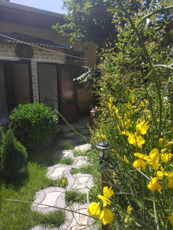 Sim Sim Hostel & Guest House Near The Church Semerkant Dış mekan fotoğraf