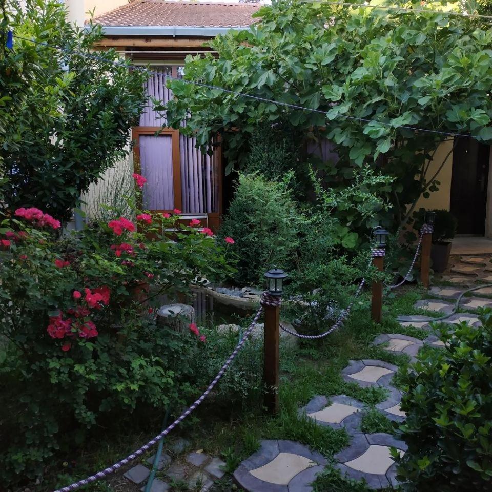 Sim Sim Hostel & Guest House Near The Church Semerkant Dış mekan fotoğraf